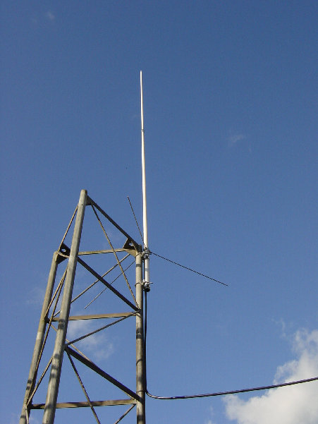 DSC00829.JPG (366.91 KiB) 42563 keer bekeken De rondstraler eenzaam op 4 meter hoogte